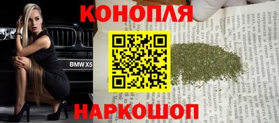гидропоника Будённовск